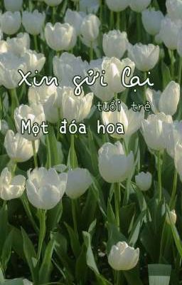 Xin gửi lại tuổi trẻ một đóa hoa