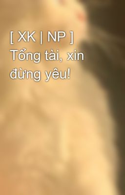 [ XK | NP ] Tổng tài, xin đừng yêu!