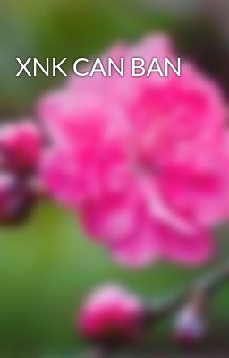 XNK CAN BAN