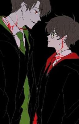 [XUYÊN KHÔNG/ĐM/HP] Hành Trình Truy Bắt Voldermort Của Harry Potter 