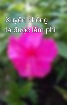 Xuyên không ta được làm phi