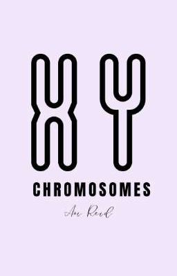 XY Chromosomes 