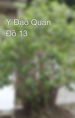 Y Đạo Quan Đồ 13