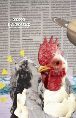 Yoko la poule