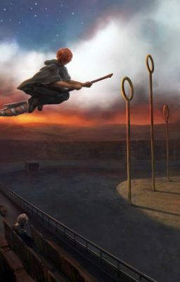 (YoonMin) (Oneshot) Anh, em, mèo nhỏ và Quidditch