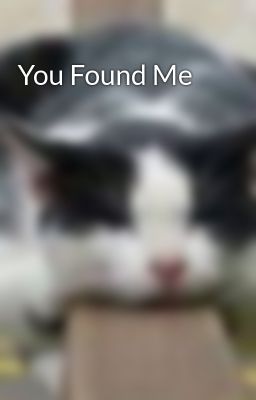 You Found Me