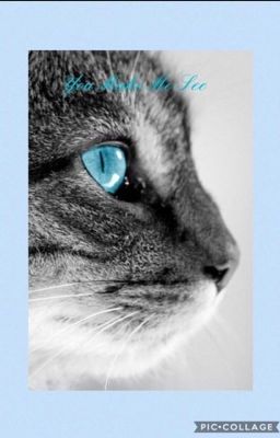 You Make Me See {a Jayfeather x Reader story}