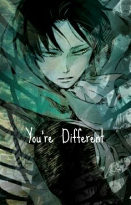 You're Different (Levi X Reader)