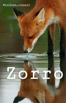 ¿Zorro?