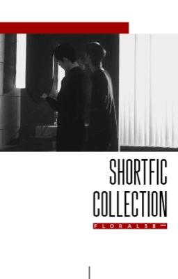 zsww❅shortfic collection