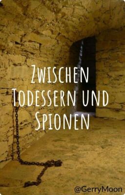 Zwischen Todessern und Spionen