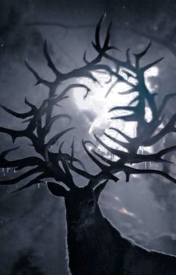 𝐄𝐓𝐄𝐑𝐍𝐀𝐋 𝐈𝐌𝐌𝐎𝐑𝐓𝐀𝐋𝐈𝐓𝐘 | shadow and bone