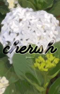 𝐠𝐦𝐦𝐭𝐯 | cherish