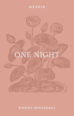 𝕄𝕖𝕒𝕟𝕚𝕖- one night