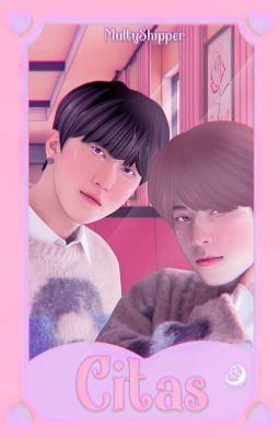 𝗖𝗜𝖳𝖠𝖲 ; CHANSUNG SEUNGBIN MINLIX