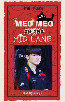 𝙵𝚊𝚔𝚎𝚛 🃟 Meo meo đi đường giữa (Hoàn)