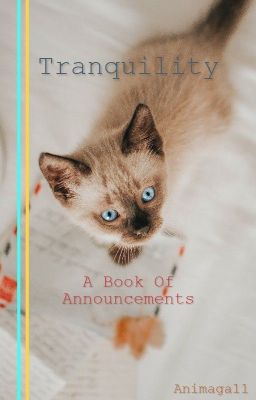 ☾ 𝚝𝚛𝚊𝚗𝚚𝚞𝚒𝚕𝚒𝚝𝚢 ☾ an announcements book ☾